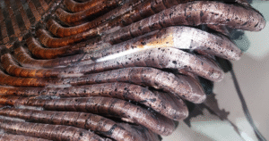 Descargas en cabezales de bobina de motor de media tensión